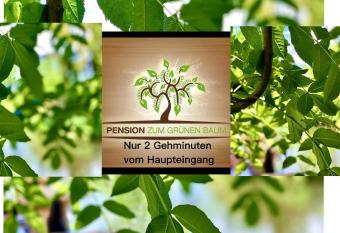 Europa Pension zum Gr  nen Baum allows 18 year olds to book a room