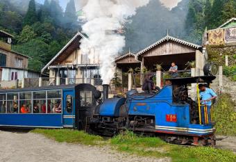 Marigold Manor Homestay allows 18 year olds to book a room