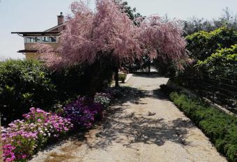 Casa Noemi has Balcony rooms