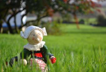 L Araucaria - chambres d h  tes et g  te allows 18 year olds to book a room