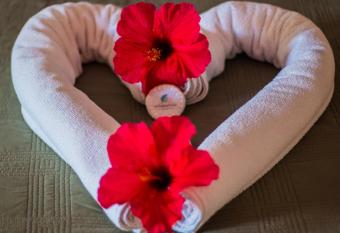 Pousada Vila Boa Vida has rooms with a private hot tub