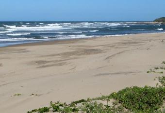 The Eden Palms has Balcony rooms