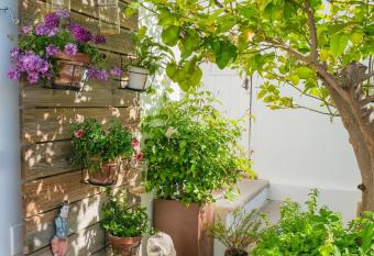 S  o Paulo Boutique Hotel - SPBH allows 18 year olds to book a room