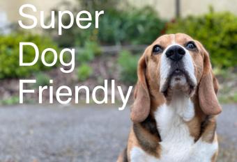 Llangwyryfon Country Holidays allows 18 year olds to book a room