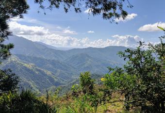 Lime Tree Farm, Blue Mountains has Balcony rooms
