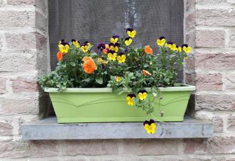 studio du beau vallon has Balcony rooms