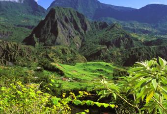 Chambres d h  tes l Orchid  e Rose has Balcony rooms