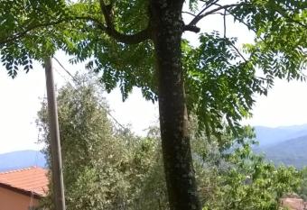 Ca  Rosmunda has Balcony rooms