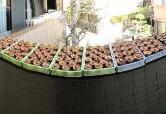 Nakagawa s Cozy House has Balcony rooms