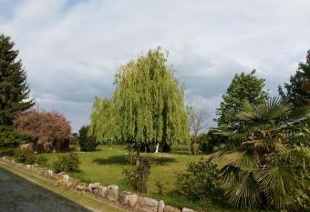 B&B Cascina dell eco has Balcony rooms