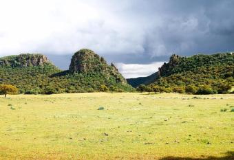 Casa Rural Finca Los Conventos en Adamuz CORDOBA allows 18 year olds to book a room