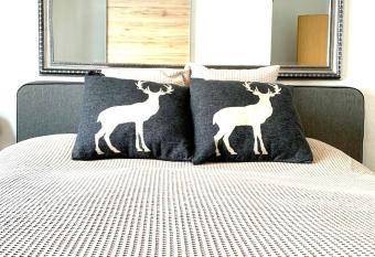 Zentral bei Kongresshaus, Langlaufloipe, Hallenbad, Garage, WIFI, voll ausgestattet - Fewo Gian has Balcony rooms