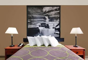 Super 8 by Wyndham Ithaca allows 18 year olds to book a room