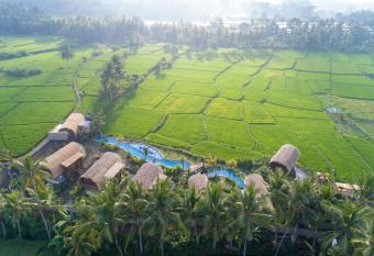 Beehouse Dijiwa Ubud allows 18 year olds to book a room