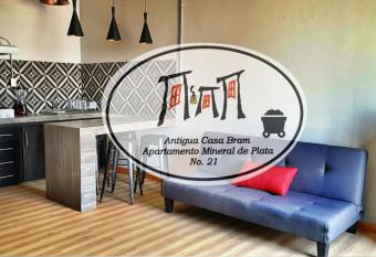 Antigua Casa Bram / Apartamento Mineral de Plata allows 18 year olds to book a room