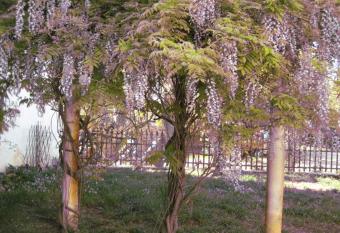 Grand Argence has Balcony rooms