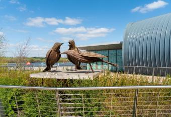 Chestnut Court 2 Bed Apartment FREE Parking WiiFi Smart TV allows 18 year olds to book a room