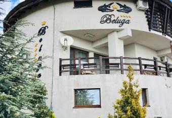 Pensiunea Beluga allows 18 year olds to book a room