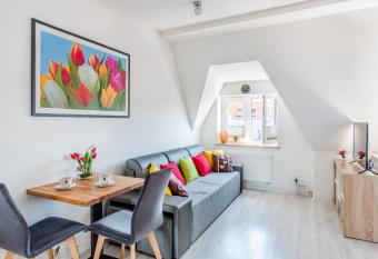 Tulip-Apartments - Jagiello  ska 24 poddasze bez windy allows 18 year olds to book a room