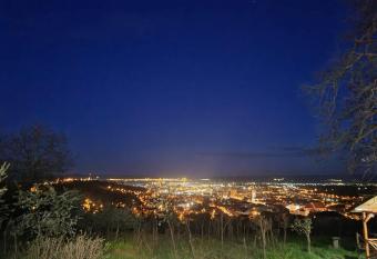 Pensiunea Bella Vista has Balcony rooms