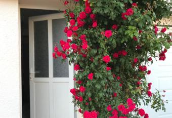 joli studio au coeur de Verdun allows 18 year olds to book a room