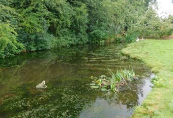Squirrel Lodge at Owlet Hideaway - with Hot Tub, Near York has Balcony rooms