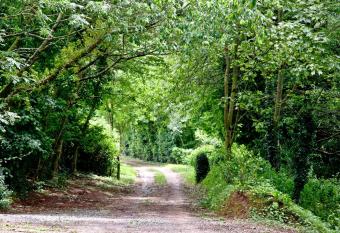 Willow Lodge, South View Lodges, Exeter has rooms with a private hot tub