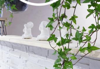 Studio zen et cosy, neuf en pleine ville has Balcony rooms