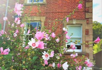 Bridport Garden Suite allows 18 year olds to book a room