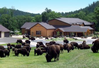 Creekside Lodge at Custer State Park Resort has Balcony rooms