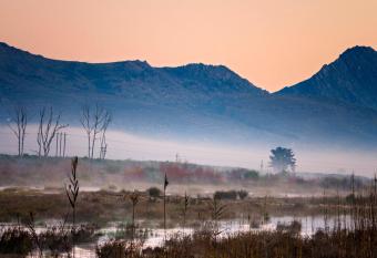 Citrus Creek Chalets allows 18 year olds to book a room