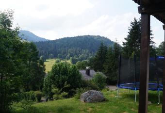 Familien-Sportappartements Wetzel has Balcony rooms