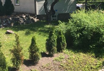 Silja allows 18 year olds to book a room