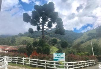 Ecohotel Pinohermoso Reserva Natural allows 18 year olds to book a room