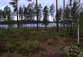 Joutiaisentie I 55 Forest apartment has Balcony rooms