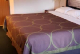 Super 8 by Wyndham Windsor allows 18 year olds to book a room