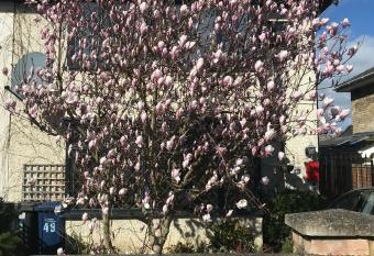 Harry s bed and breakfast has Balcony rooms