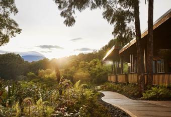 One&Only Gorilla s Nest allows 18 year olds to book a room