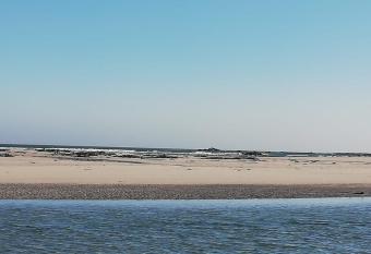 uilenkrallmond resort-cabin has Balcony rooms