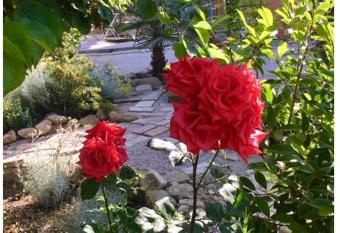 Runamonte camere allows 18 year olds to book a room