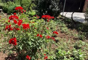 Borjomi Home has Balcony rooms