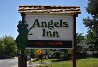 Angels Inn allows 18 year olds to book a room