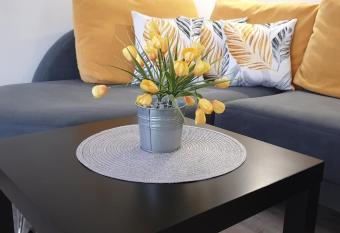 Apartament S  ONECZNY Pi     m  rz Siano    ty has Balcony rooms