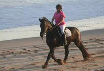 Heavenly Stables Self Catering Accommodation has rooms with a private hot tub