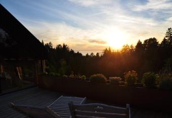 Ferienwohnung Reichart allows 18 year olds to book a room