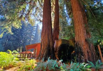 Fern River Resort has Balcony rooms
