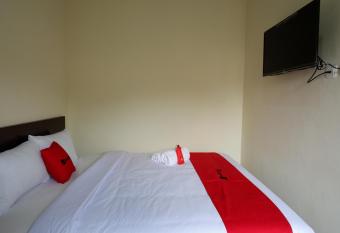 RedDoorz near Terminal Mendolo Wonosobo allows 18 year olds to book a room