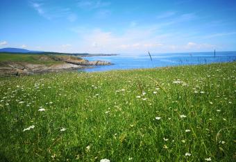 Amour bleu -              -    -   has Balcony rooms