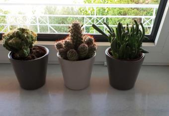 Villa Fotini I has Balcony rooms