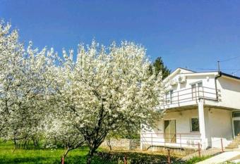 Apartments Pasha has Balcony rooms